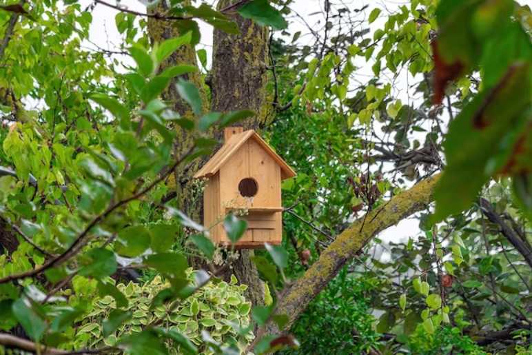 Bird House